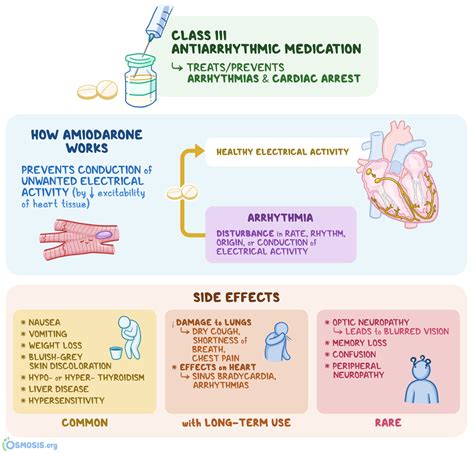 is amiodarone a beta blocker|Amiodarone: Understanding Its Non.